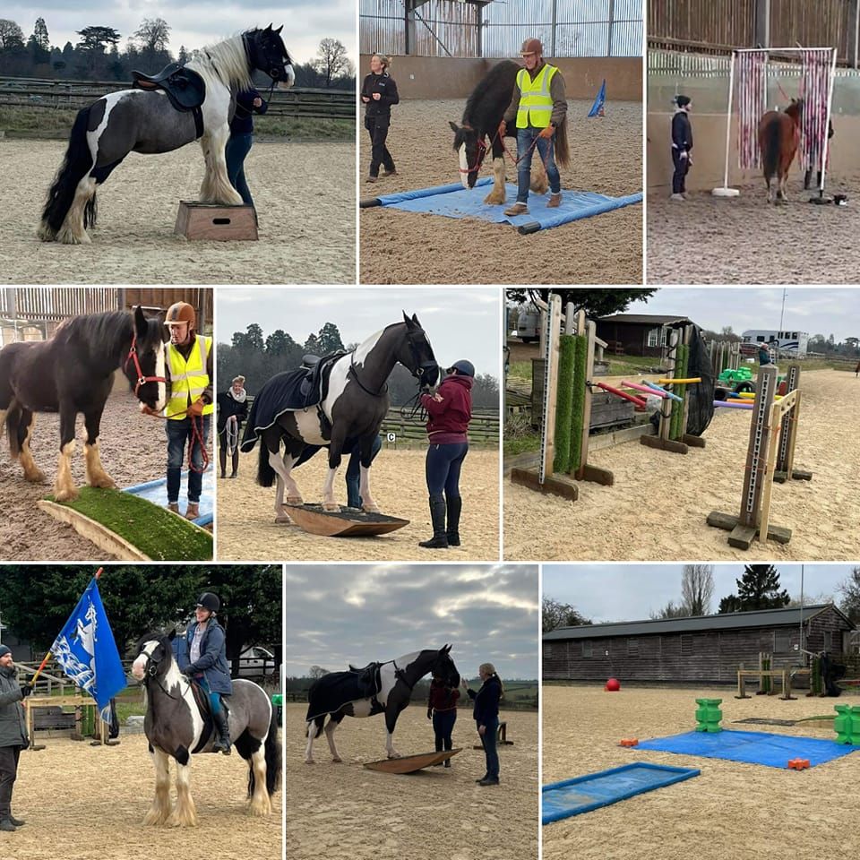 Pickering Grange clinic obstacles, young horse, groundwork and