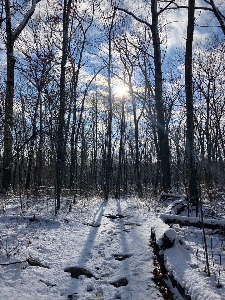 Preschool Story Hour Winter Weather, Mass Audubon Broad Meadow Brook