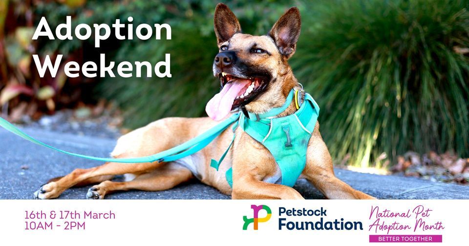 National Pet Adoption Weekend Petstock Takapuna, 3 Barrys Point Rd