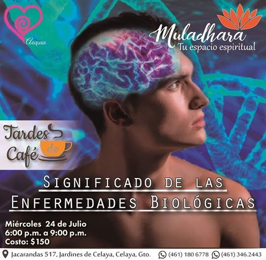 กดติดตามร้านใน shopee lazada รับโค้ดส่วนลด, sudd shop bangkok asiatique terminal21 SIGNIFICADO EMOCIONAL DE LAS ENFERMEDADES BIOLÓGICAS, Muladhara, July 24 to July 25 | AllEvents.in