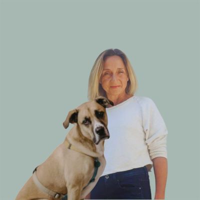 Kasia, Certified Dog Behaviour Specialist logo