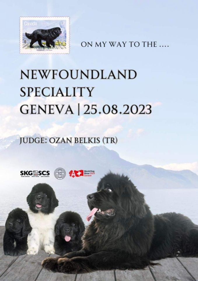 Newfoundland Special Show Geneva, Palexpo, Geneva, August 25 2023