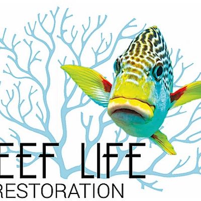 Luxe-Couture, Indigorev, & ReefLifeFoundation