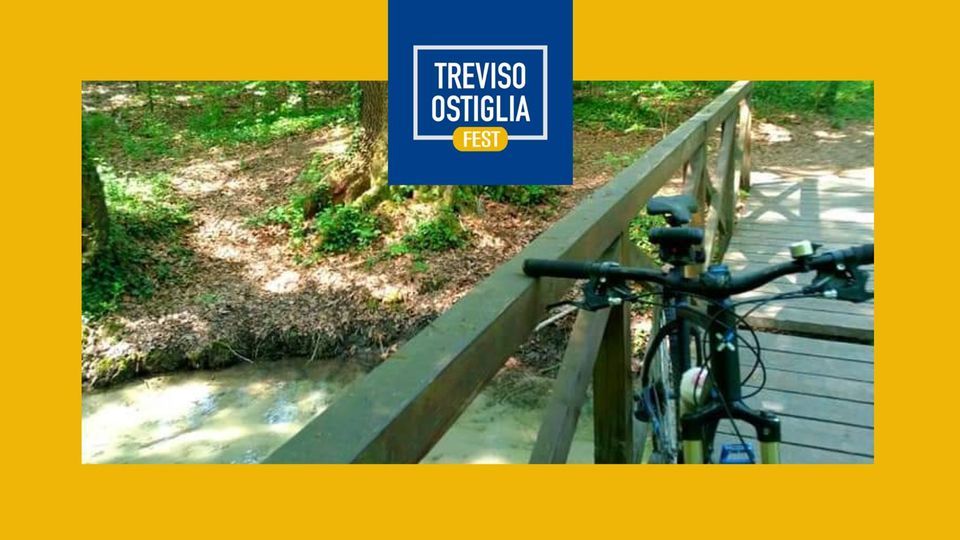 Escursione in bici alle sorgenti del Sile, Quinto Camper Resort, Treviso,  25 June