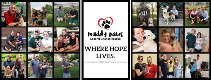 muddy paws second chance rescue