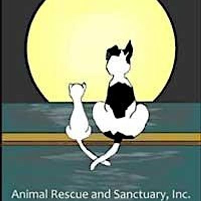 Wags to Riches Animal Rescue