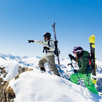 The American Avalanche Institute logo