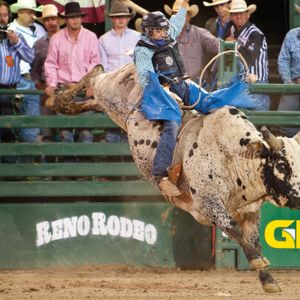 Reno Rodeo (Rodeo), Reno Livestock Events Center | AllEvents.in
