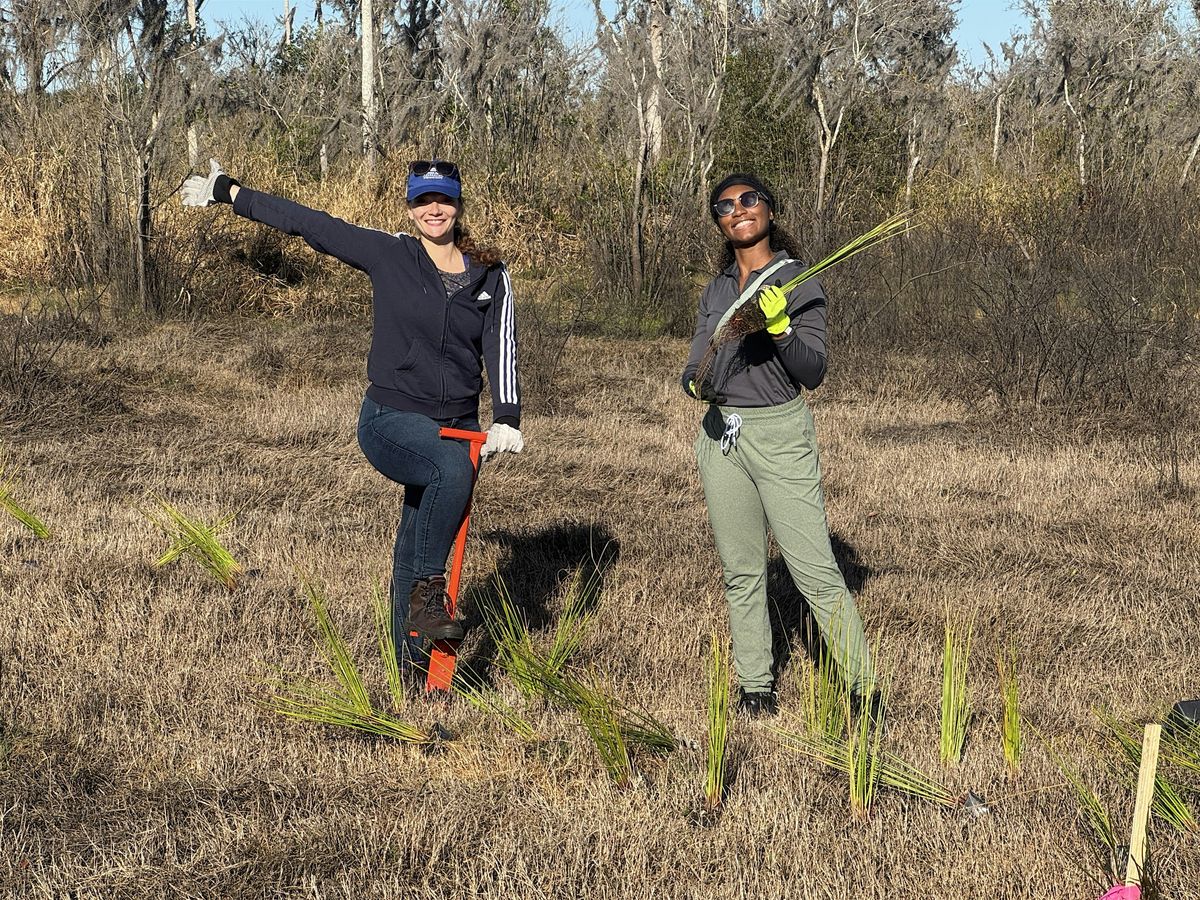 Myakka Headwaters Preserve Volunteer Event and Picnic, 5 December | Event in Myakka City | AllEvents