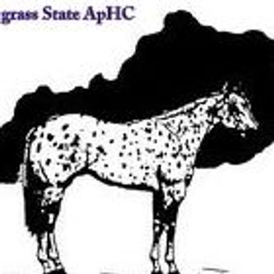 Bluegrass State Appaloosa Horse Club