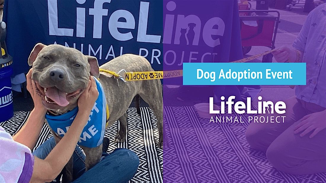 Leashes & Lattes Adoption Event, 6 December | Event in Atlanta | AllEvents