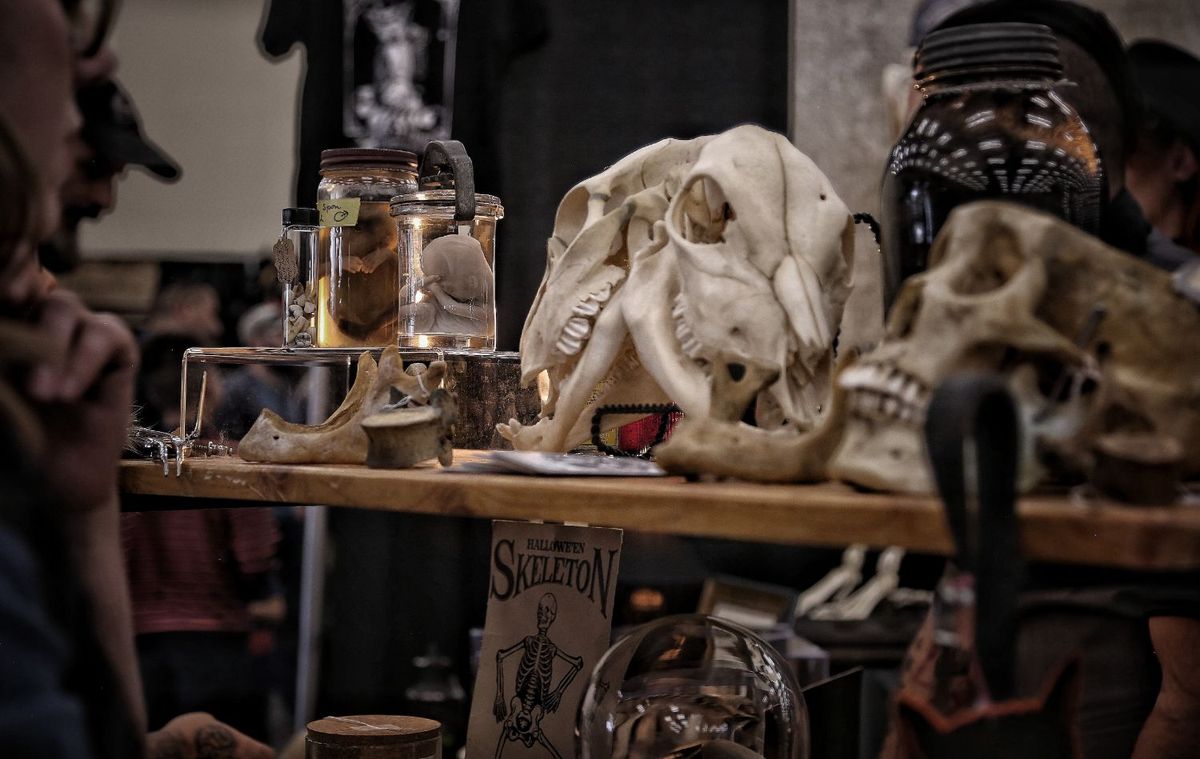 Oddities and Curiosities Expo at Colorado Convention Center, 4 October | Event in Denver | AllEvents