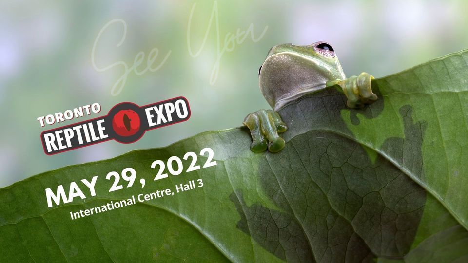 Toronto Reptile Expo, The International Centre Hall 3, Mississauga, May