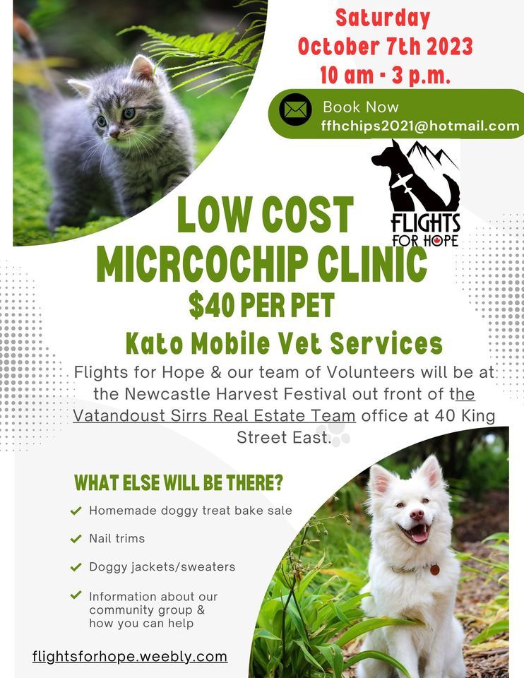Low cost microchip clinic and more the vatandoust sirrs real estate