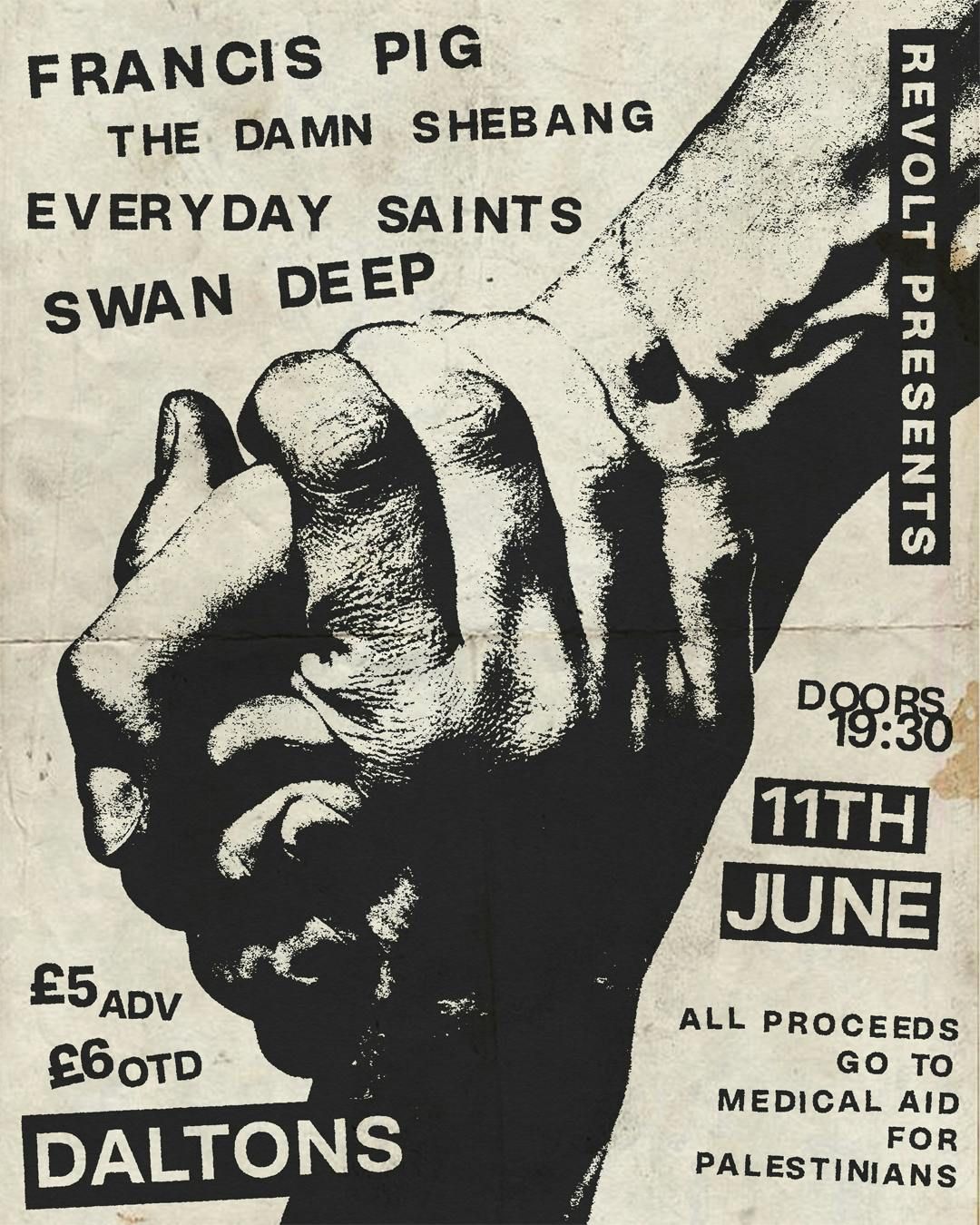 REVOLT presents: Francis Pig + The Damn Shebang + everyday saints + Swan Deep, 11 June | Event in St Stephen