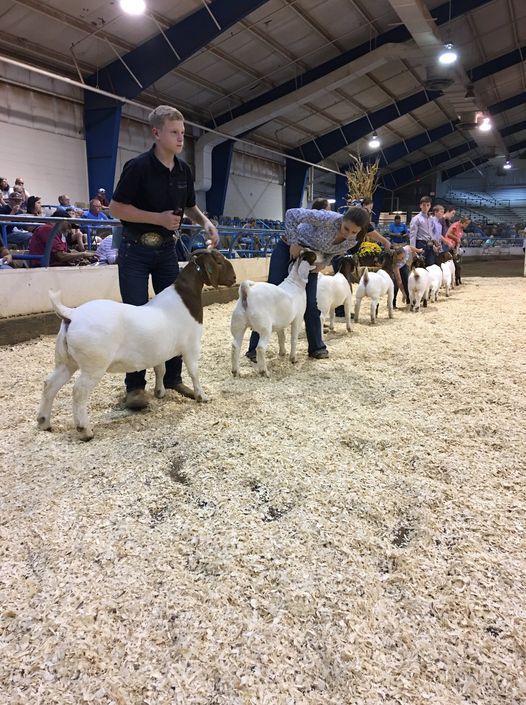 2021 Heart of Tennessee Junior Meat Goat Classic, Tennessee Livestock