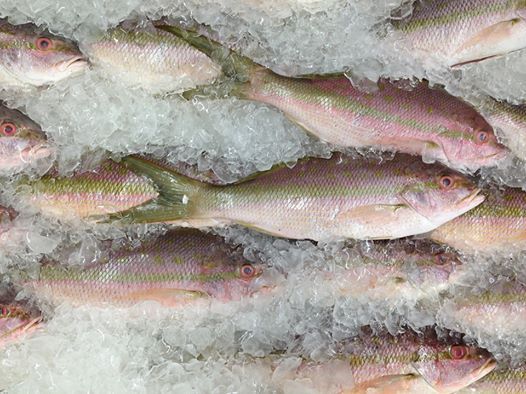 Learn To Filet Your Fish Save The Date At Shore To Door Fish