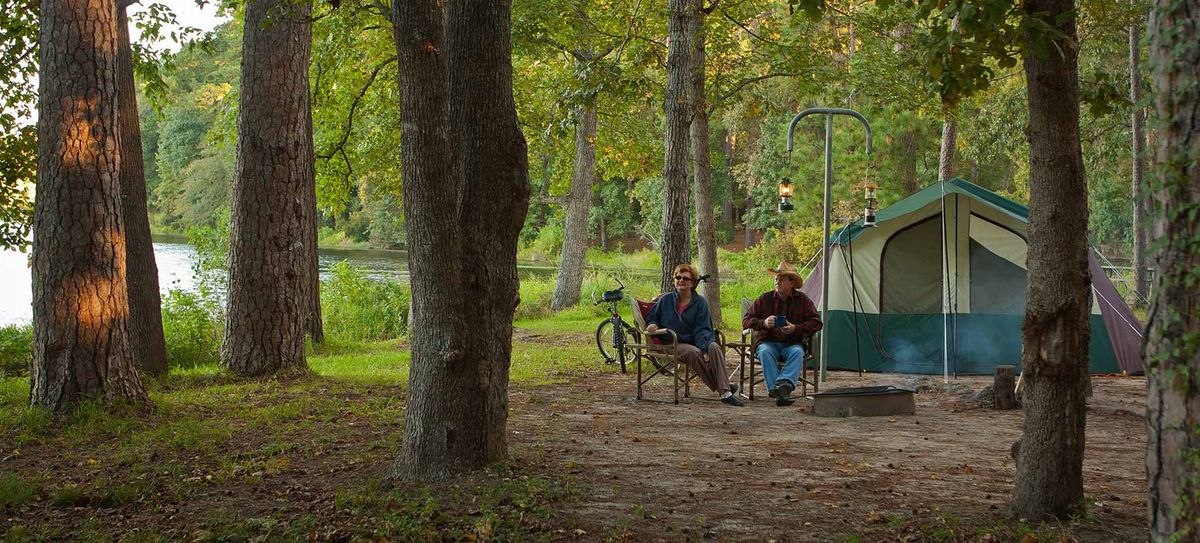 Parking Into The Woods - Phoenix | Event in Phoenix | AllEvents
