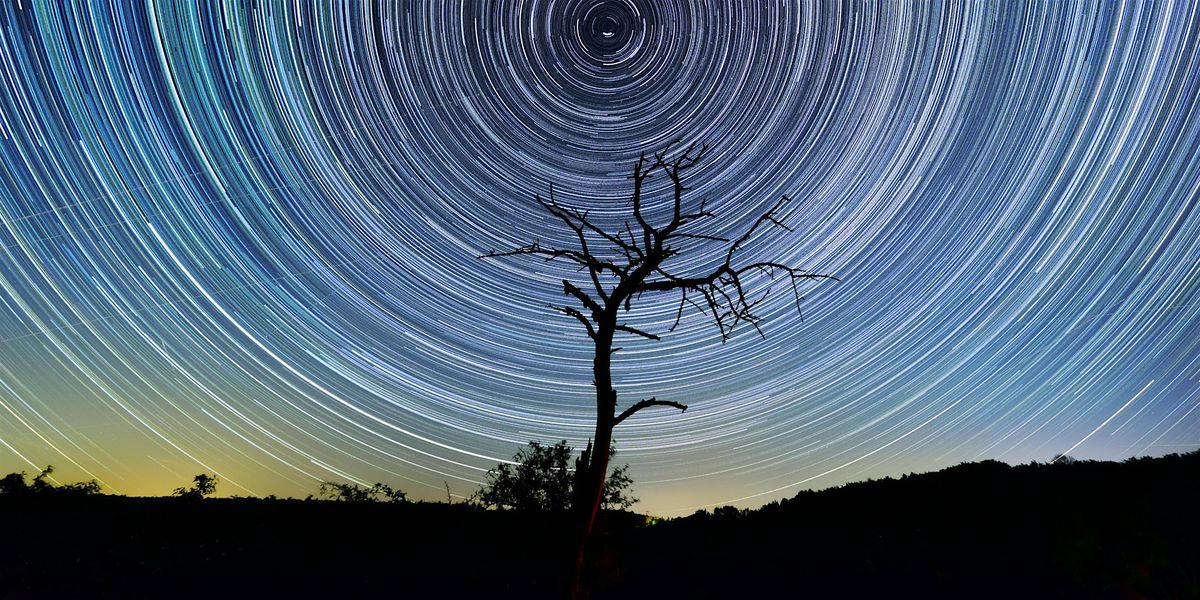 Timelapse - mit DaVinci Resolve kreativ Zeitrafferfilme erstellen, 9 April | Event in Berlin | AllEvents