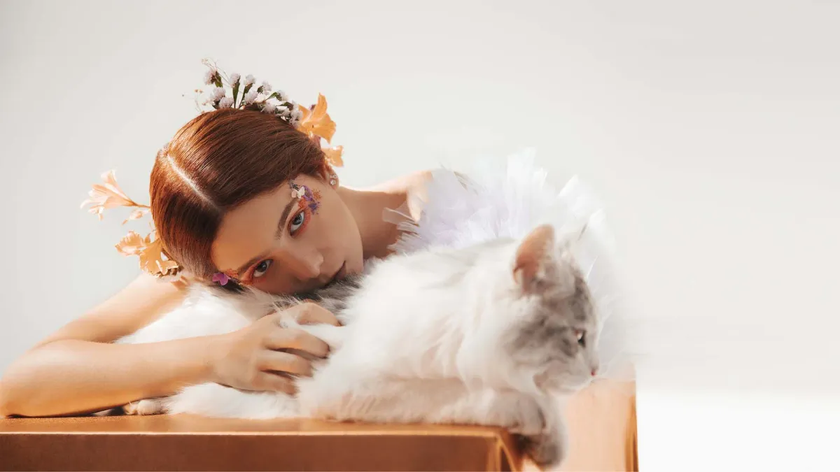 Bárbara Tinoco in Lisboa, 15 November | Event in Lisbon | AllEvents