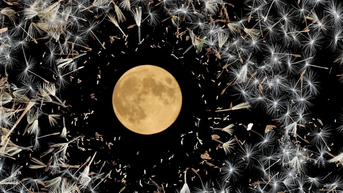 Lisa O'Neill in Carrick-on-shannon | Event in Edgeworthstown | AllEvents