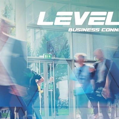 Level Up Business Networking logo