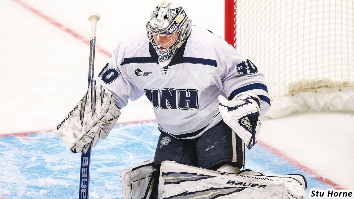 Union College Garnet Chargers vs. New Hampshire Wildcats, 14 November | Event in Schenectady | AllEvents