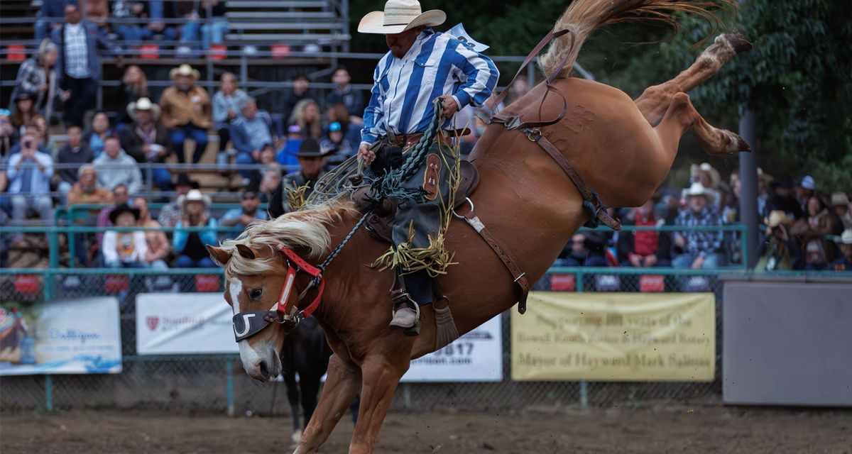 Rowell Ranch Rodeo: Rockin' Bull Bash, 15 May | Event in Castro Valley | AllEvents