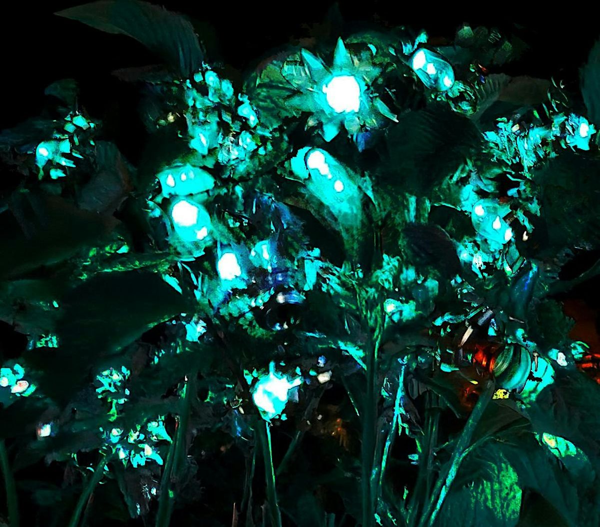 Blooms - An Interactive light Installation, 9 December | Event in Chattanooga | AllEvents
