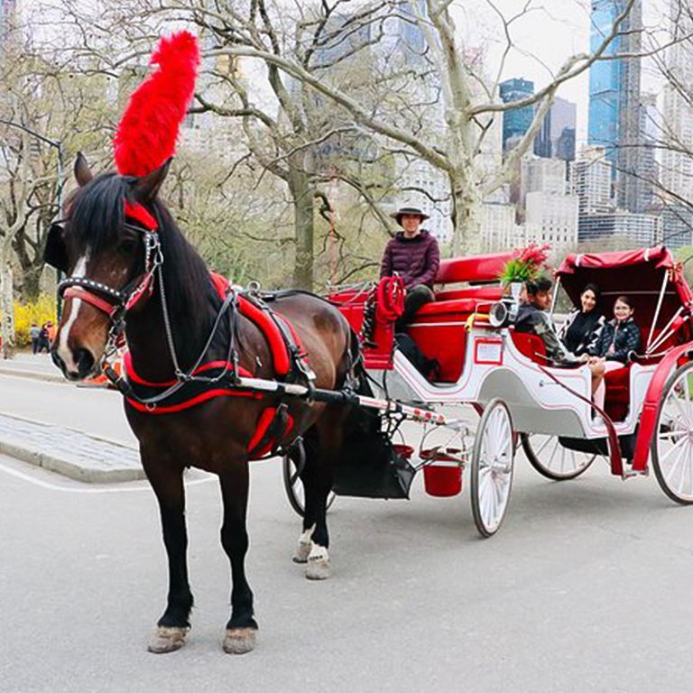 Standard Central Park Horse Carriage Ride, José Julián Martí Statue