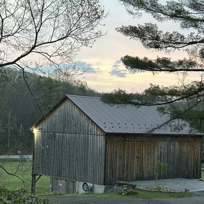 DENELAINE SPRINGS FARM logo