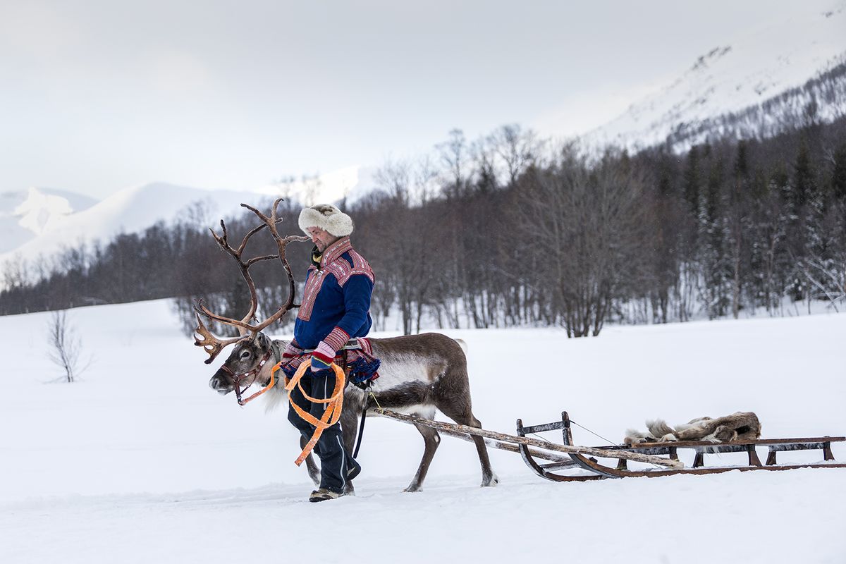 How to Train Your Reindeer (To Fly), 10 December | Event in Cedartown | AllEvents