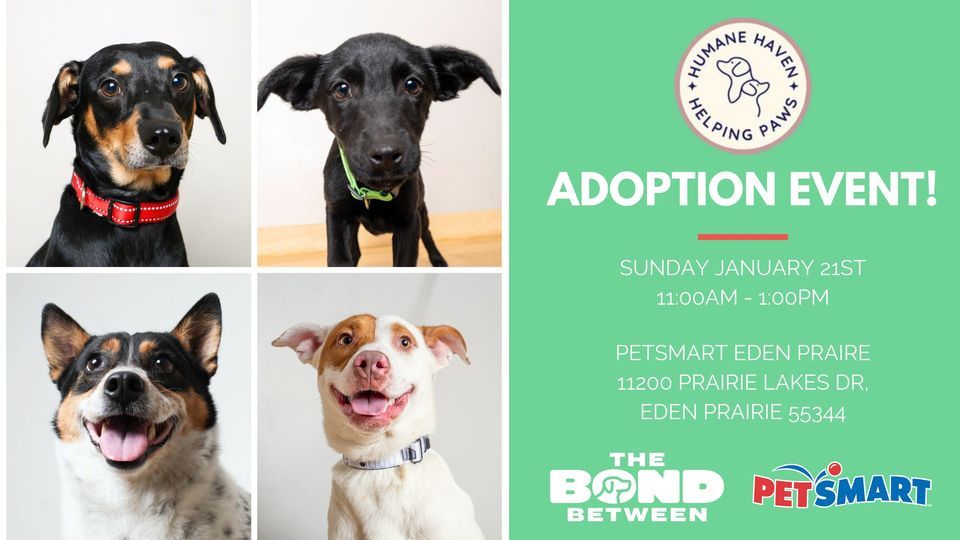 Humane Haven Pet Adoption Event!, PetSmart (Eden Prairie, MN), January