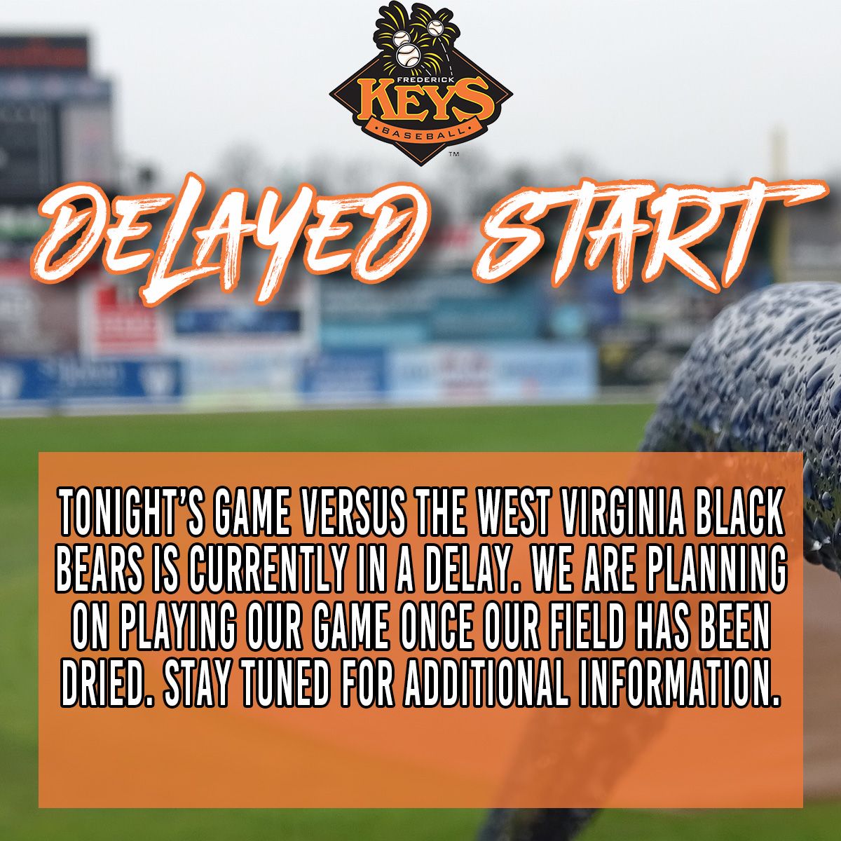 West Virginia Black Bears at Frederick Keys | Event in Frederick | AllEvents