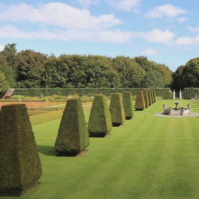 Pitmedden Garden logo