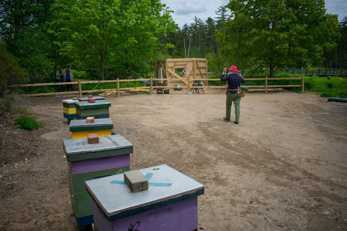 Parking The Hives with The Chats, 22 March | Event in Toronto | AllEvents