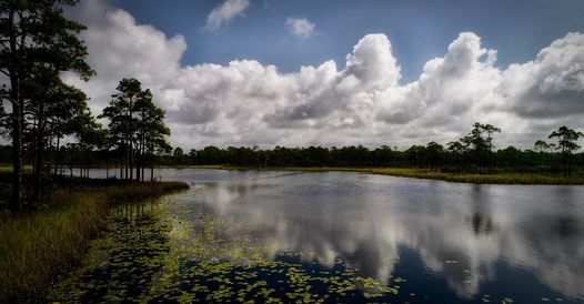Patriots Run Paddle Boathouse Paddle Club Santa Rosa Beach September 11 2021 Allevents In Santa Rosa Beach Events September 2022