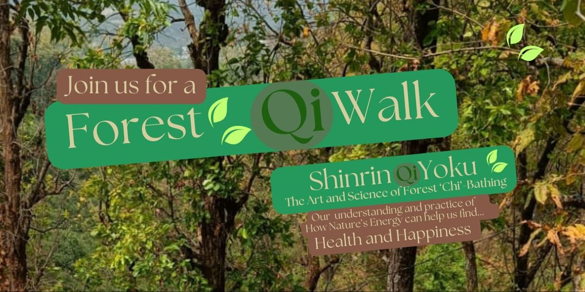 Shinrin Yoku - Forest Qi Bathing (Forest Walk)