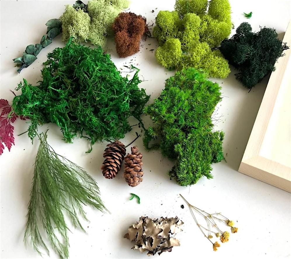 Let's Get MOSSED!, 2 December | Event in Kansas City | AllEvents