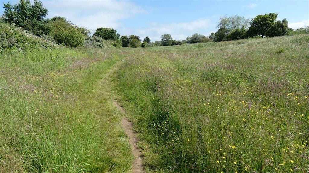 Guided Nature Walk, 9 January | Event in Cleethorpes | AllEvents