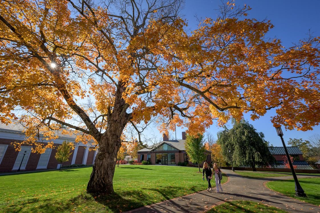 Parking The Nutcracker - St. Paul, 20 December | Event in Saint Paul | AllEvents