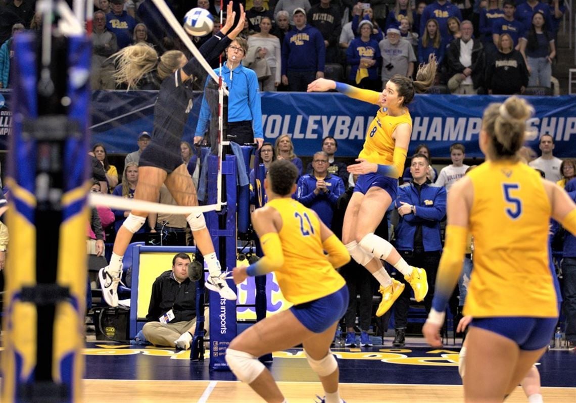 High Point Panthers at BYU Cougars Womens Volleyball at Smith Fieldhouse, 30 August | Event in Provo | AllEvents