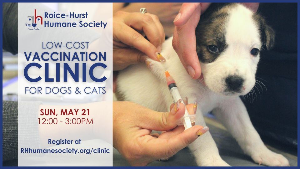 Low Cost Pet Vaccination Clinic Roice Hurst Humane Society Grand Low Cost Pet Vaccination Clinic Roice Hurst Humane Society Grand