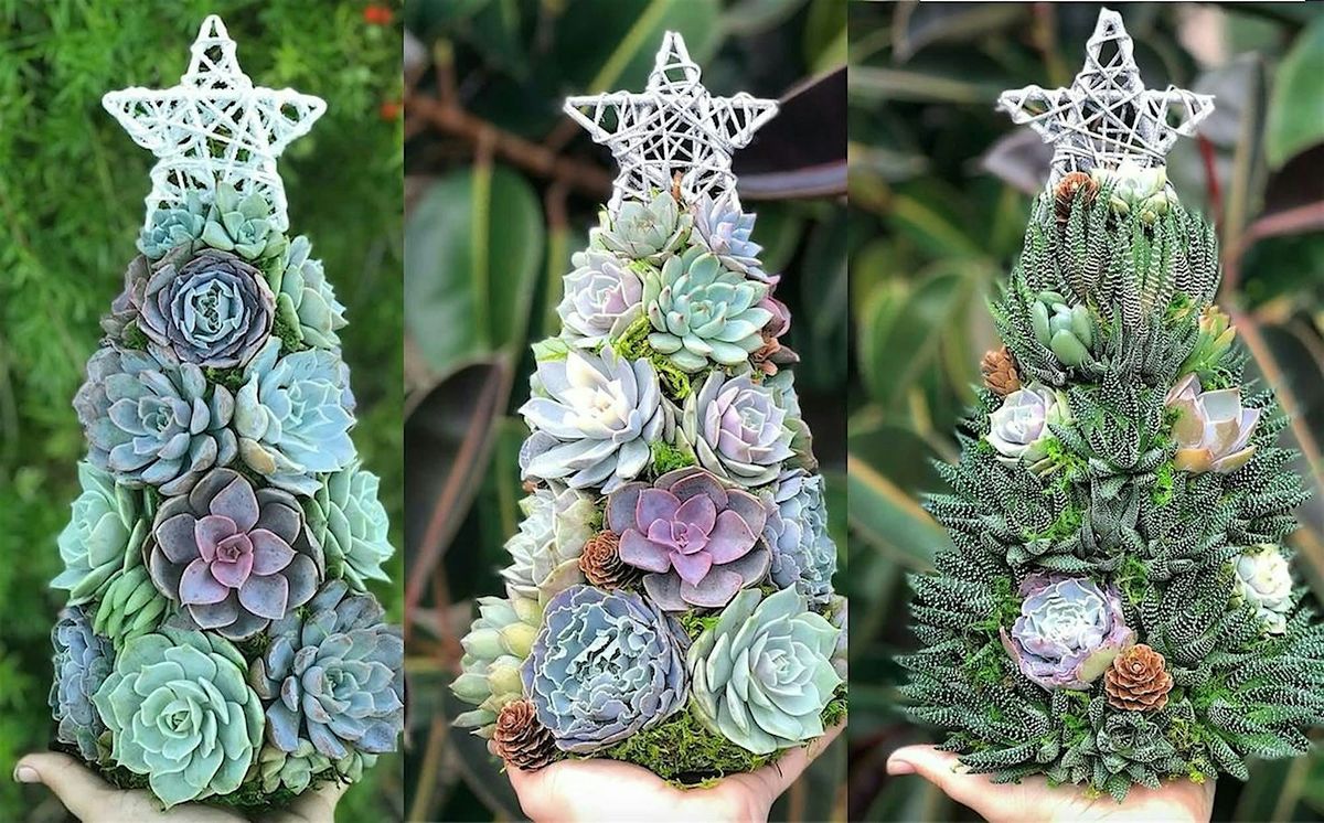 Holiday Succulent Tree Workshop, 18 December | Event in Easton | AllEvents