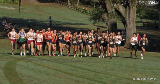 Tallahassee Sports Events Sports Tournaments Matches Events Tickets In Tallahassee 2022 College Athletic Fair Gainesville October Martin Luther King Jr Center