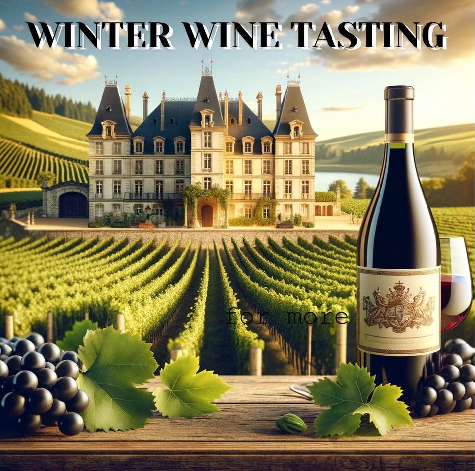 Winter Wine Tasting BIG CABS, Dive Wine & Spirits, Sarasota, December