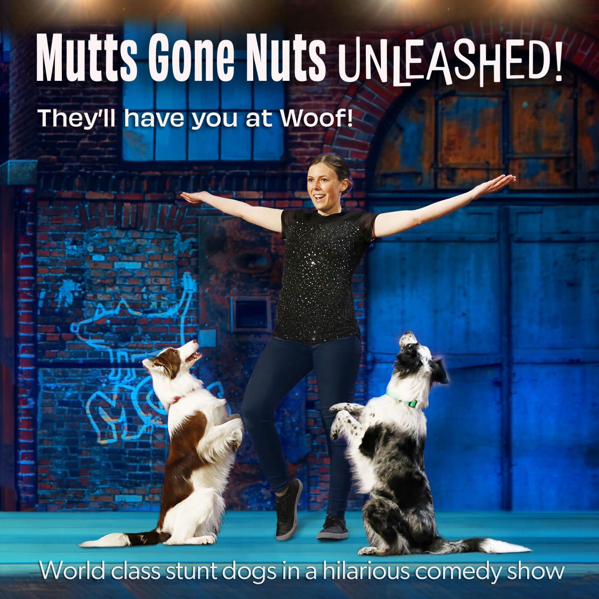 Mutts Gone Nuts: Unleashed, 31 October | Event in College Station | AllEvents
