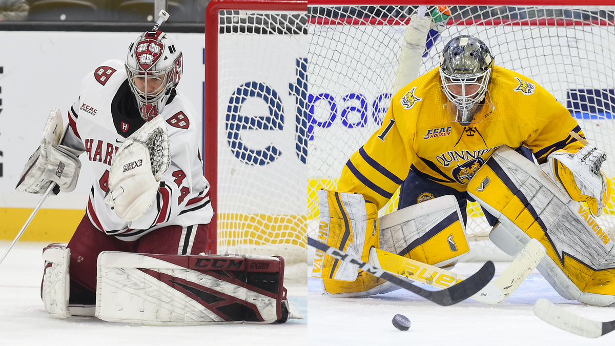 Parking Clarkson Golden Knights at Quinnipiac Bobcats Mens Hockey, 21 November | Event in Hamden | AllEvents