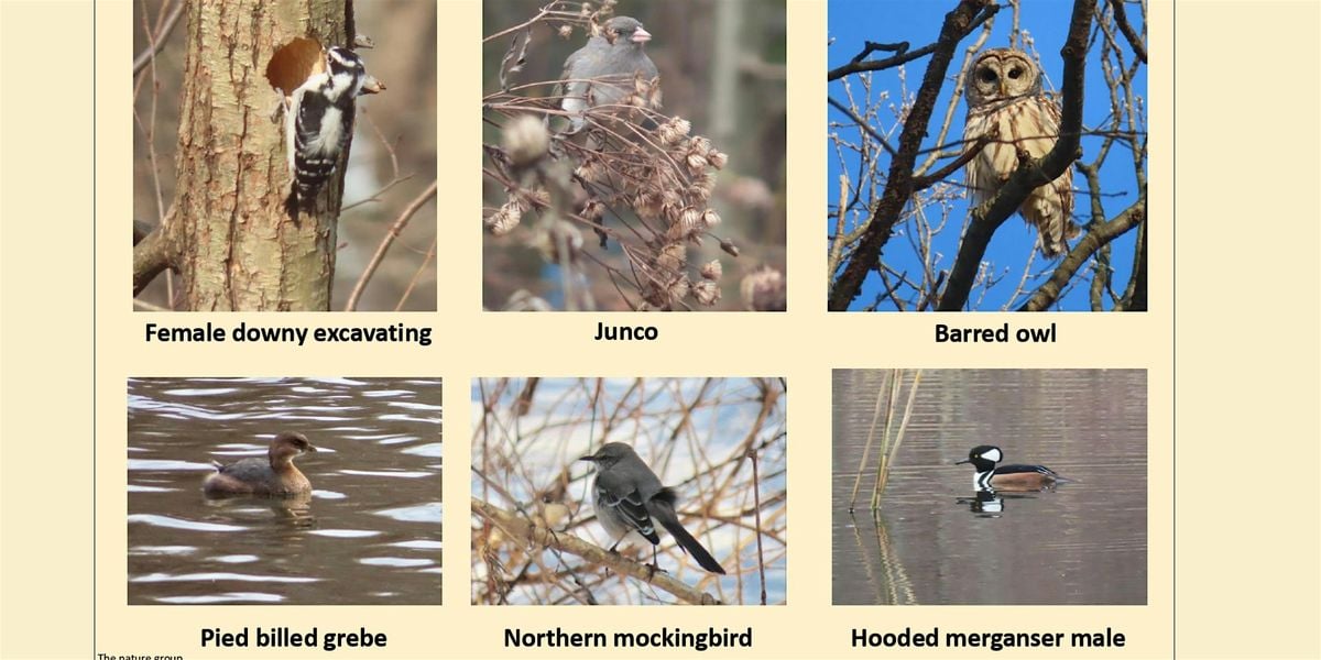 Van Cortlandt Nature Group Walk, 14 December | Event in The Bronx | AllEvents