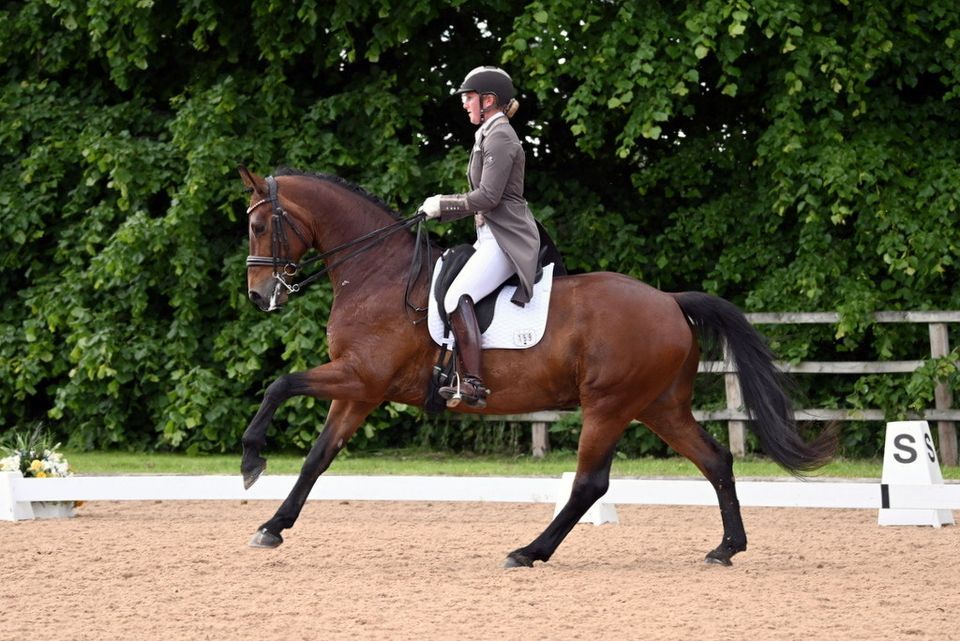 Dressage Clinic with Emma Jablonski, Epworth Equestrian Ltd, Doncaster